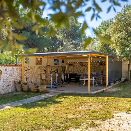 Veronika Ii By Guide Vila Vinkuran